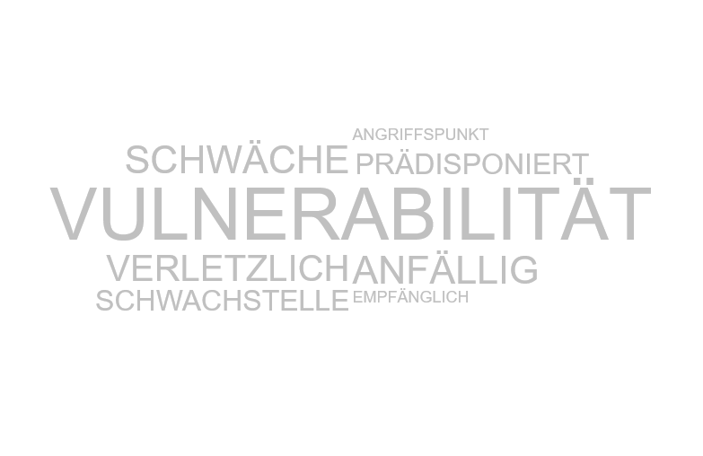 Wortwolke 'Vulnerabilität'