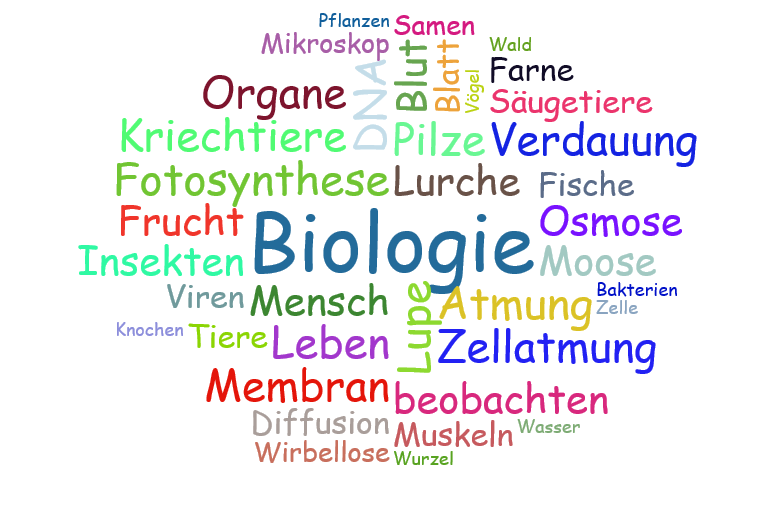 Wortwolke 'Biologie'